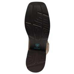 Ariat DELILAH DECO Braun - Braun -Ausgewählte Fashion Boots-Geschäfte 28535934 08